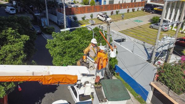 people working on wires outdoors